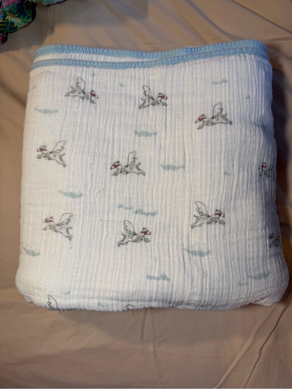 Aden and Anais dream blanket flying pup dog print